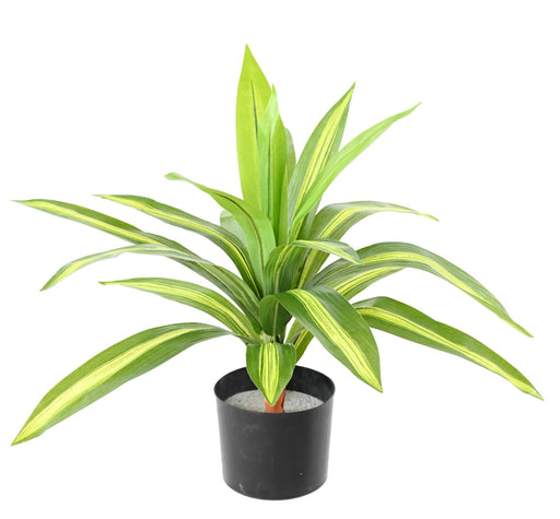 Kunstig Plante Dracaena 55Cm Broget