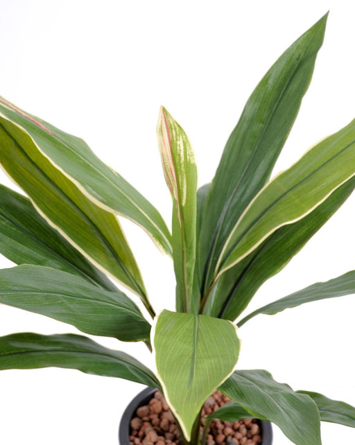 Kunstig Plante Dracaena Cordyline 60 Cm Grøn Gul