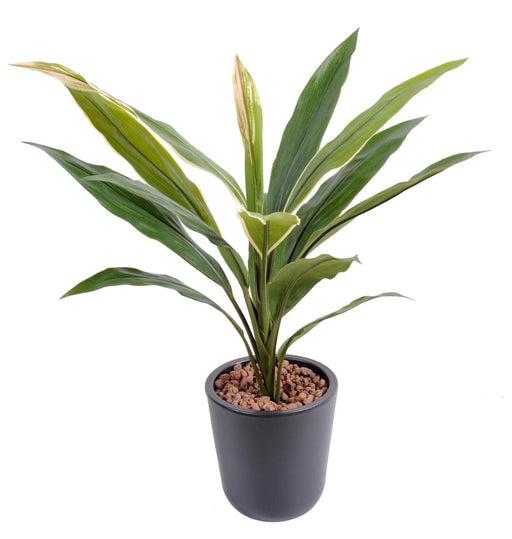 Kunstig Plante Dracaena Cordyline 60 Cm Grøn Gul