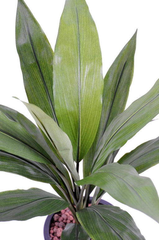 Kunstig Plante Dracaena Cordyline 60Cm Grøn