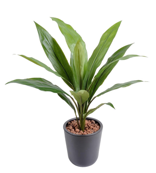 Kunstig Plante Dracaena Cordyline 60Cm Grøn