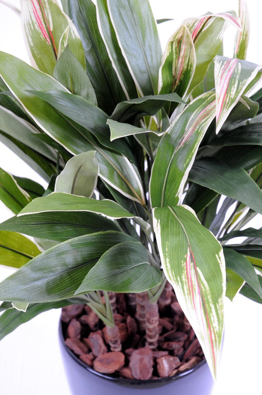 Kunstig Plante Dracaena Cordyline 85Cm Grøn Gul
