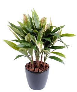 Kunstig Plante Dracaena Cordyline 85Cm Grøn Gul