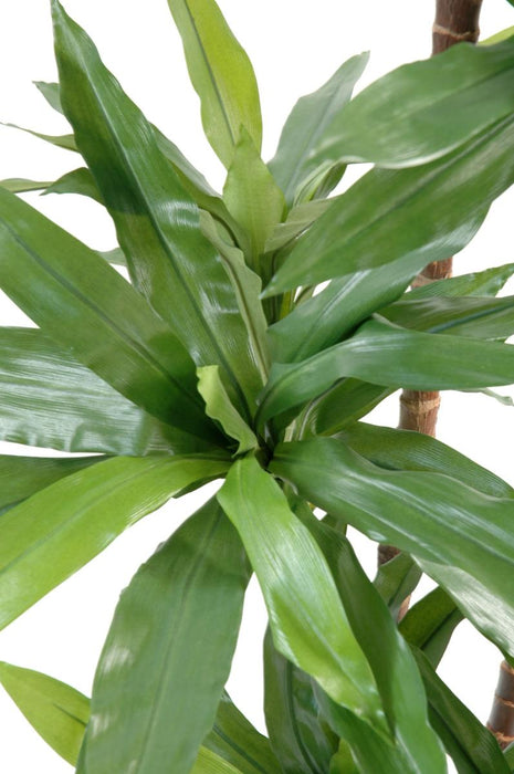 Kunstig Plante Dracaena Fragrans 145Cm Grøn