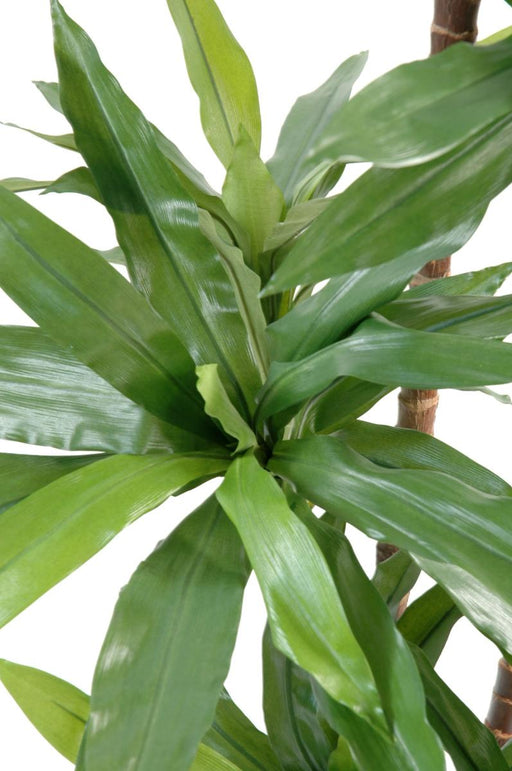 Kunstig Plante Dracaena Fragrans 145Cm Grøn
