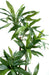 Kunstig Plante Dracaena Fragrans 145Cm Grøn
