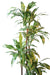 Kunstig Plante Dracaena Fragrans 4 Stilke 145Cm