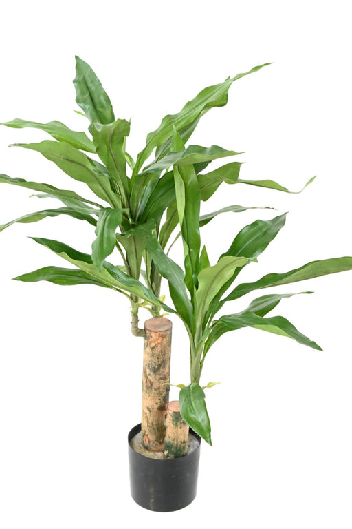 Kunstig Plante Dracaena Fragrans H.60Cm Grøn