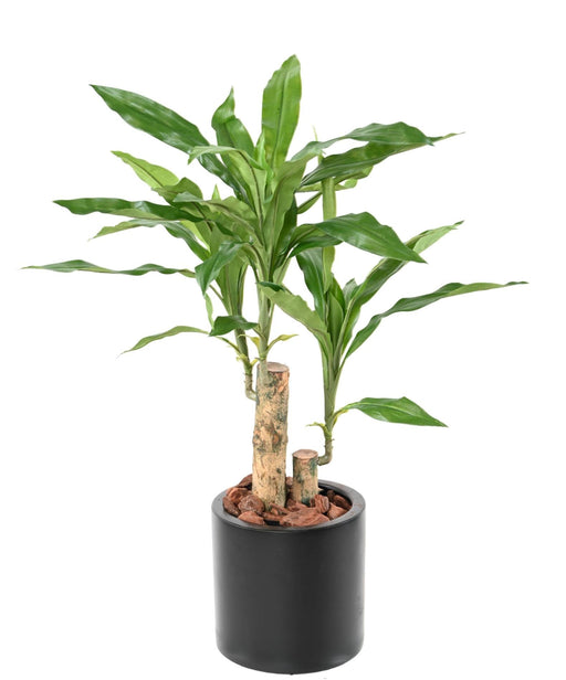 Kunstig Plante Dracaena Fragrans H.60Cm Grøn