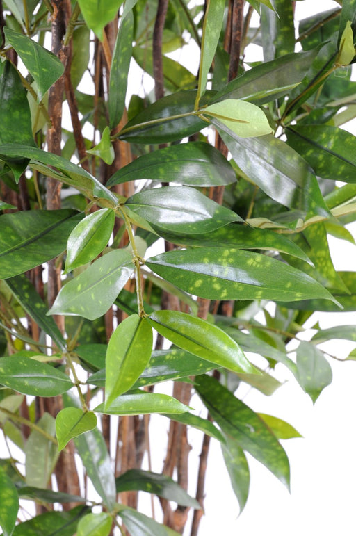 Kunstig Plante Dracaena H150Cm Indvendig Dekoration