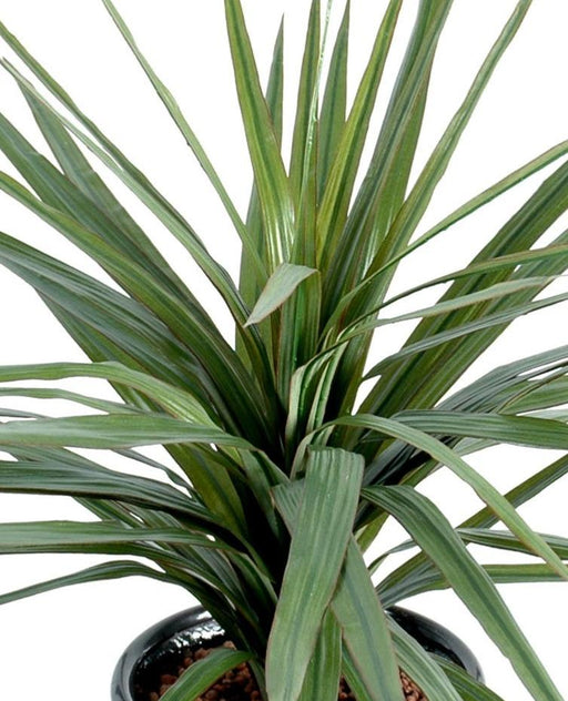 Kunstig Plante Dracaena Marginata 45 Cm Dekoration