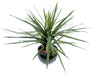 Kunstig Plante Dracaena Marginata 45 Cm Dekoration