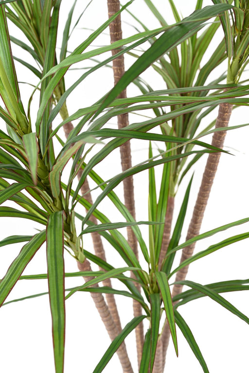 Kunstig Plante Dracaena Marginata H.160Cm Grøn