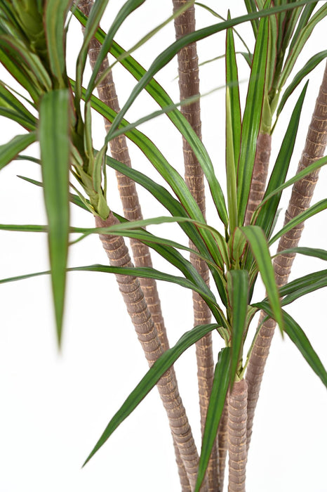 Kunstig Plante Dracaena Marginata H.160Cm Grøn