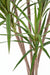 Kunstig Plante Dracaena Marginata H.160Cm Grøn