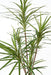 Kunstig Plante Dracaena Marginata H.160Cm Grøn