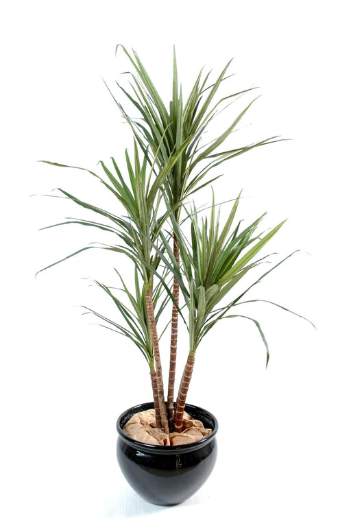 Kunstig Plante Dracaena Marginata H.160Cm Grøn