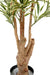 Kunstig Plante Dracaena Reflexa 110Cm Grøn Gul