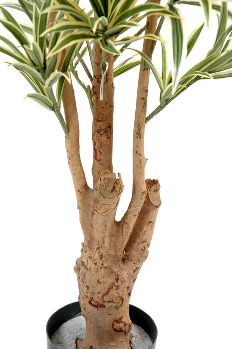 Kunstig Plante Dracaena Reflexa 150Cm Dekoration