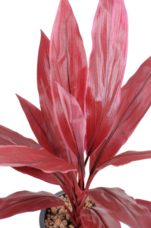 Kunstig Plante Dracaena Rød H.60Cm Stake