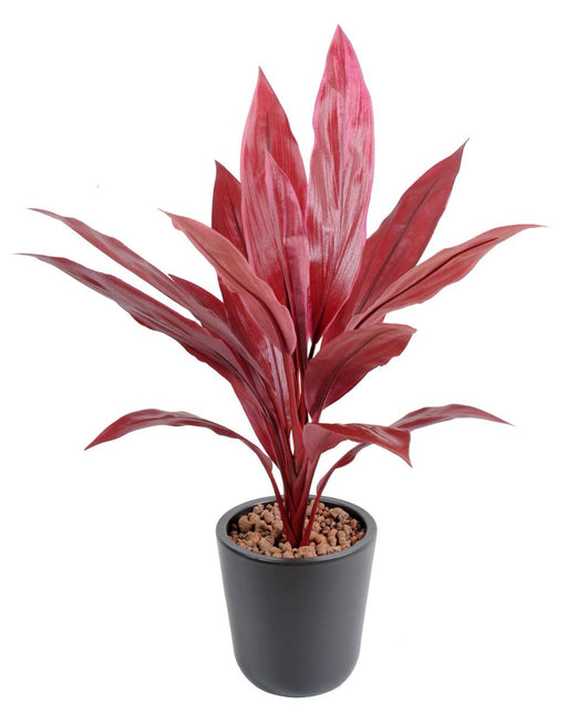 Kunstig Plante Dracaena Rød H.60Cm Stake