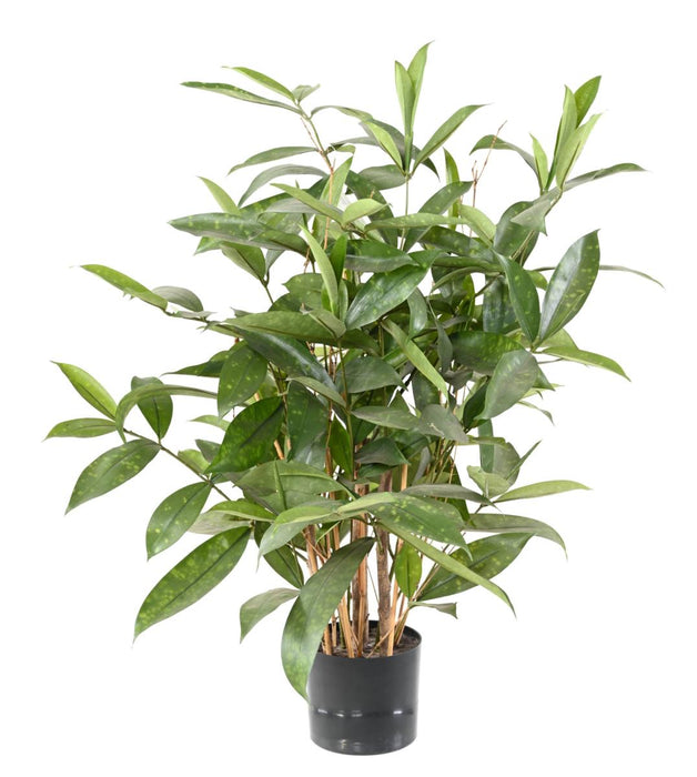 Kunstig Plante Dracaena Surculosa 60Cm Grøn