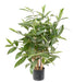 Kunstig Plante Dracaena Surculosa 60Cm Grøn