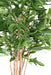 Kunstig Plante Dracaena Surculosa Indendørs 155Cm