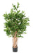 Kunstig Plante Dracaena Surculosa Indendørs 155Cm