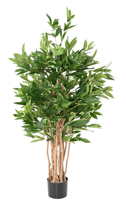 Kunstig Plante Dracaena Surculosa Indendørs 155Cm