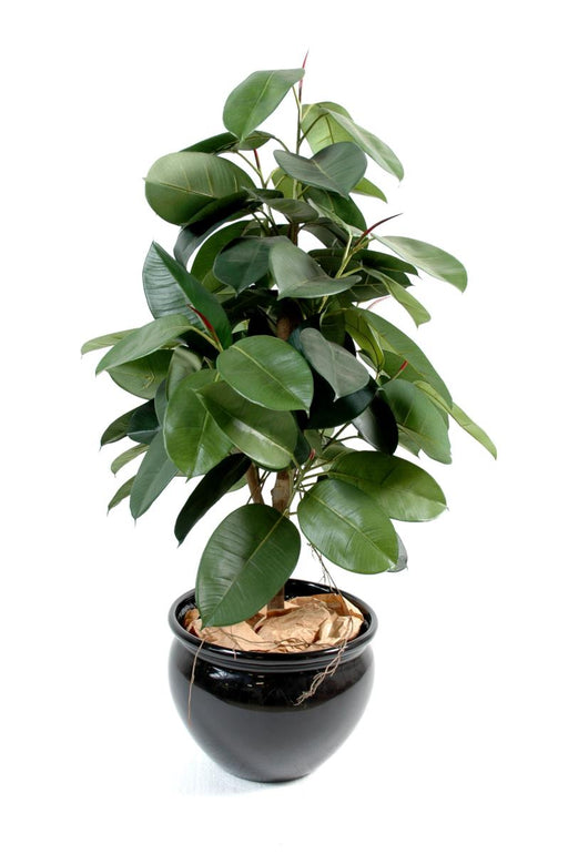 Kunstig Ficus Plant Elastik 110 Cm