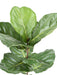 Kunstig Plante Ficus Lyrata 160 Cm Grøn