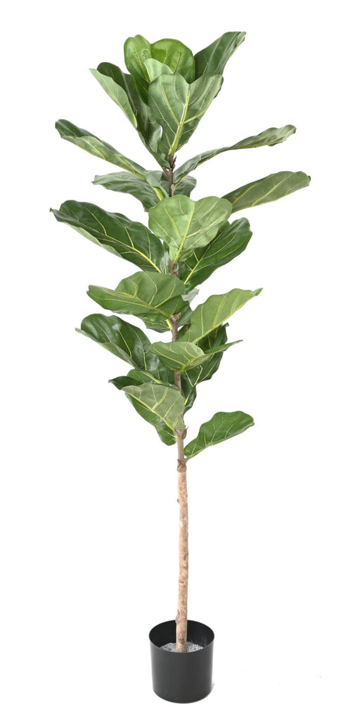 Kunstig Plante Ficus Lyrata 160 Cm Grøn