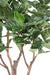 Kunstig Plante Ficus Lyrata 290Cm Grøn
