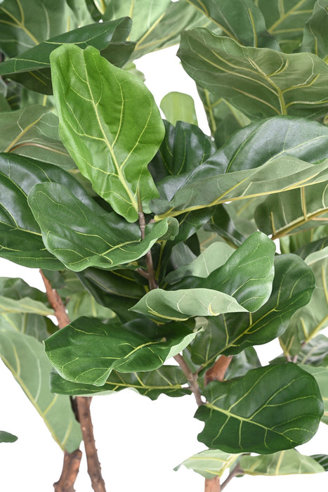 Kunstig Plante Ficus Lyrata 290Cm Grøn
