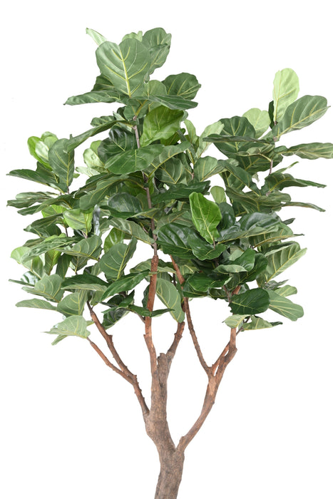 Kunstig Plante Ficus Lyrata 290Cm Grøn