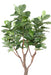 Kunstig Plante Ficus Lyrata 290Cm Grøn