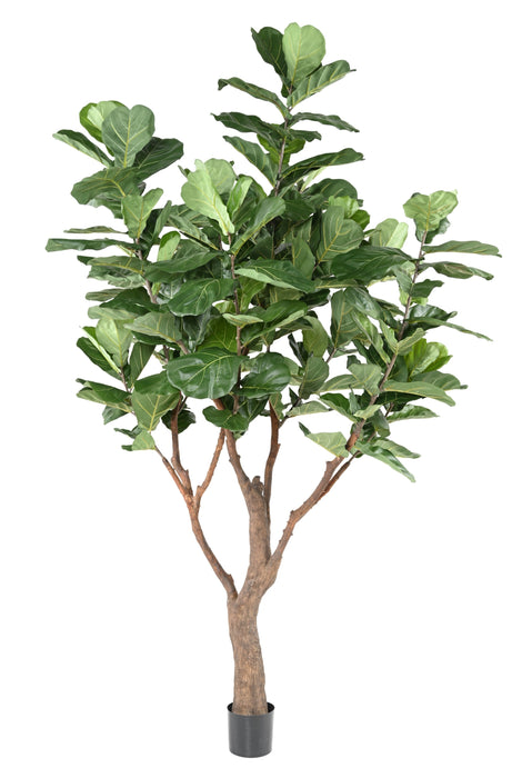 Kunstig Plante Ficus Lyrata 290Cm Grøn