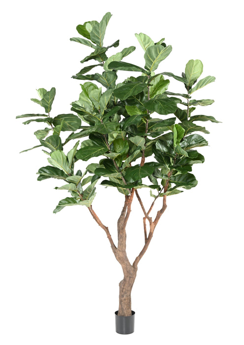 Kunstig Plante Ficus Lyrata 290Cm Grøn