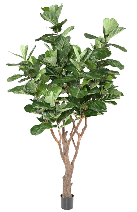 Kunstig Plante Ficus Lyrata 290Cm Grøn