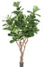 Kunstig Plante Ficus Lyrata 290Cm Grøn