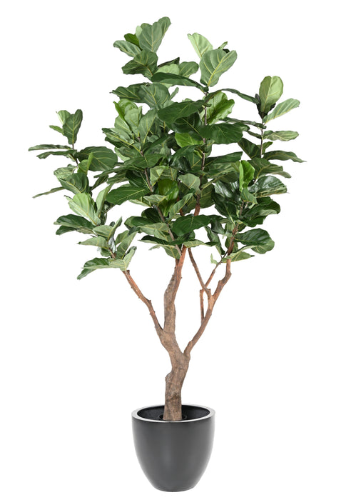 Kunstig Plante Ficus Lyrata 290Cm Grøn