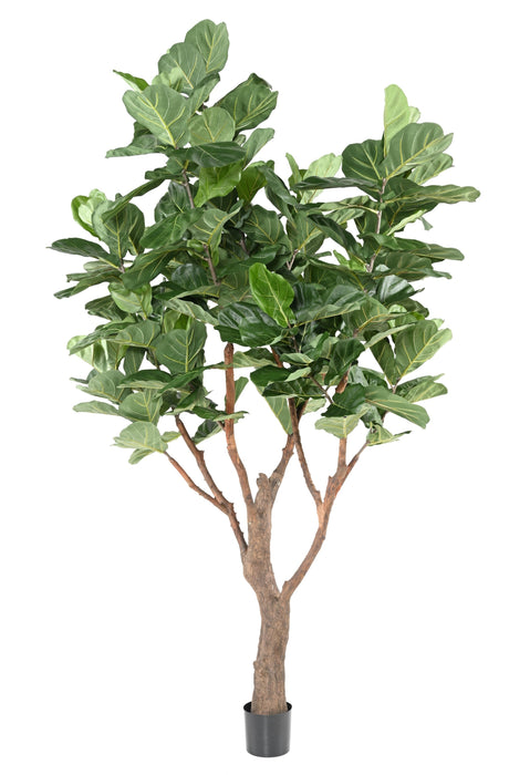 Kunstig Plante Ficus Lyrata 290Cm Grøn