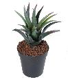 Kunstig Furcraea Plante 28 Cm Til Indendørs