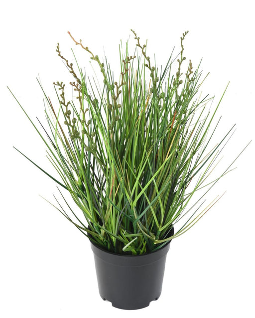 Kunstgræs Plante Bær Løg Græs H.35Cm