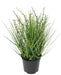 Kunstgræs Plante Bær Løg Græs H.35Cm