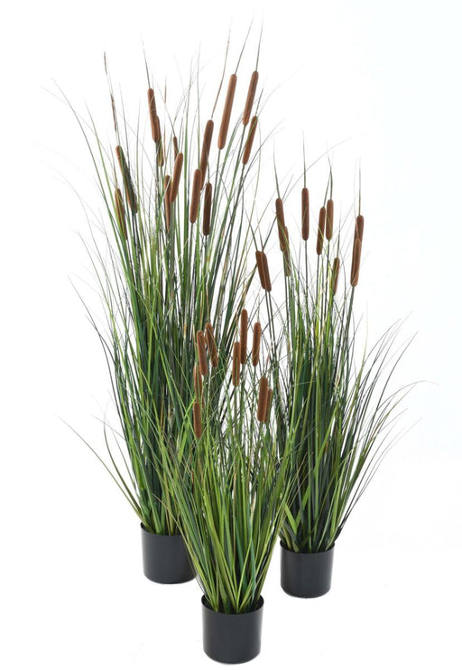 Kunstig Cattail Græs Plante 150 Cm I Pot