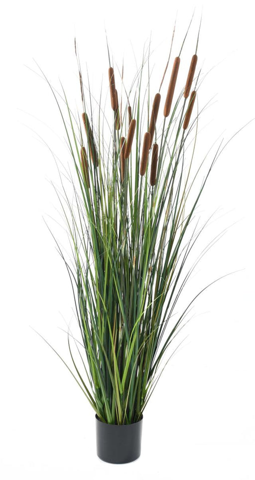 Kunstig Cattail Græs Plante 150 Cm I Pot