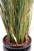 Kunstig Plante Højt Løg Græs 125Cm Grøn Gul