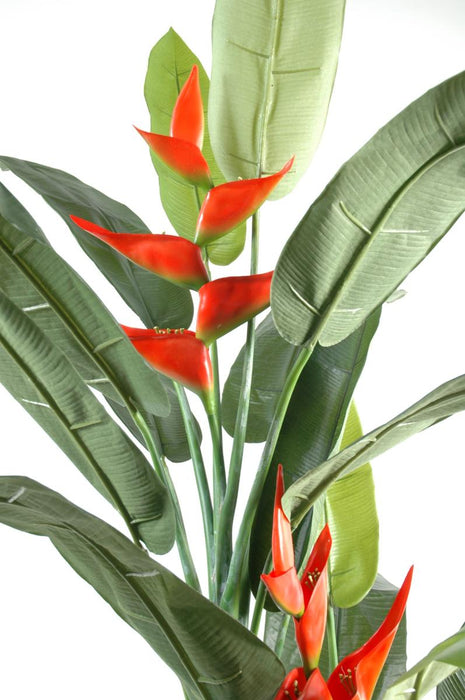 Kunstig Heliconia-Plante Til Indvendig Dekoration